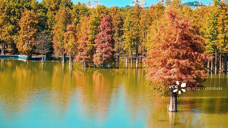 嗨！这是秋天的温柔日子，请签收——青山湖图片素材