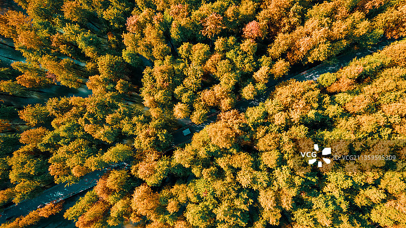嗨！这是秋天的温柔日子，请签收——青山湖图片素材