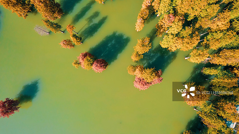 嗨！这是秋天的温柔日子，请签收——青山湖图片素材