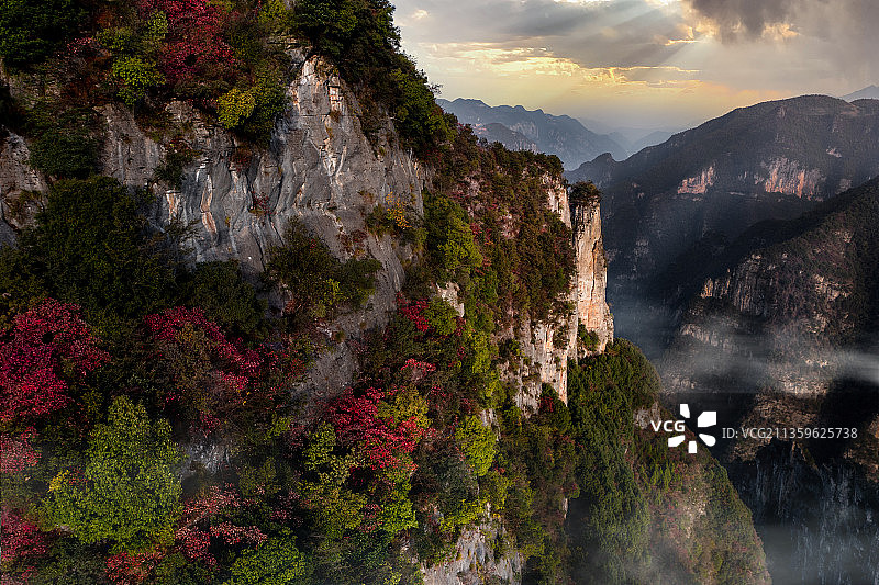 巫山神女峰景区 红叶图片素材