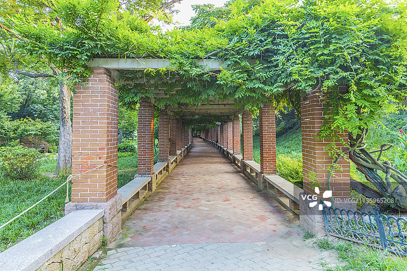 园林绿色植物长廊图片素材