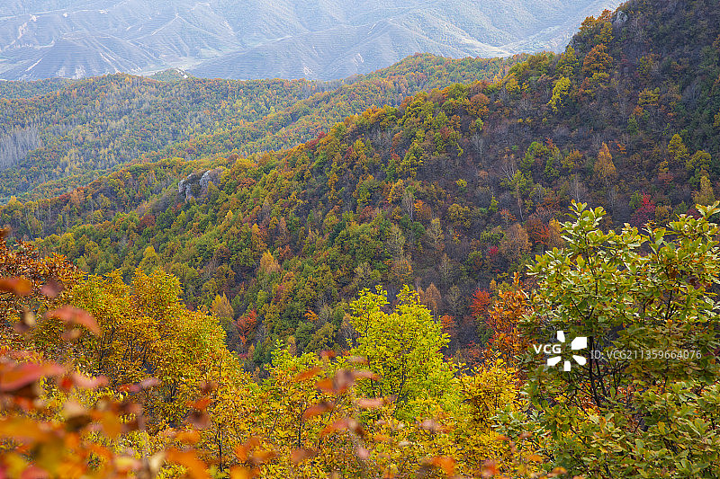 山西吕梁岚县白龙山秋色图片素材
