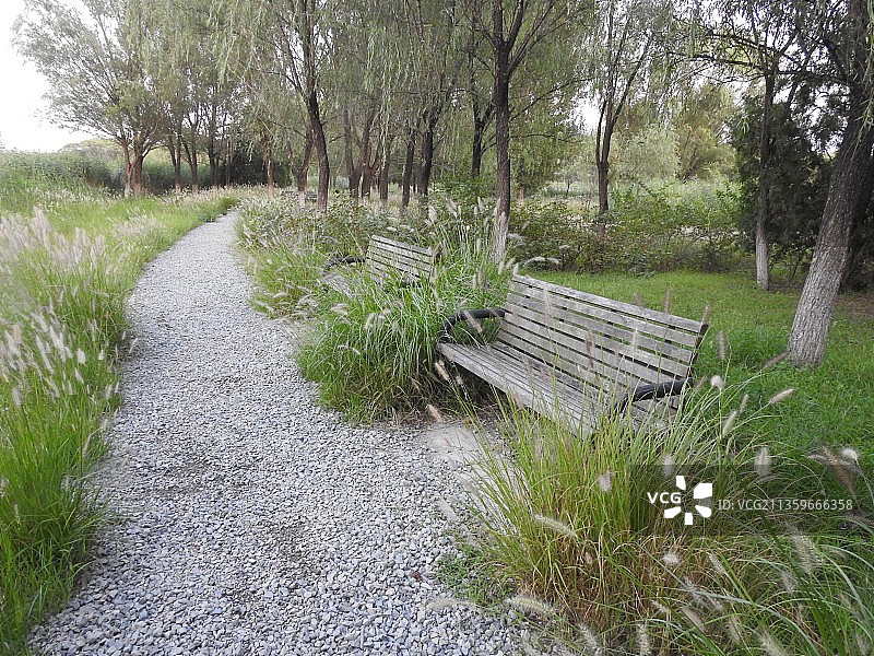 自然石子路座椅小路狼尾草宁静奥森公园花园图片素材