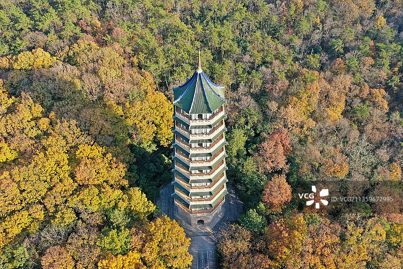 深秋下的灵谷塔，五彩斑斓图片素材