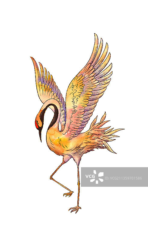 仙鹤水彩插画图片素材