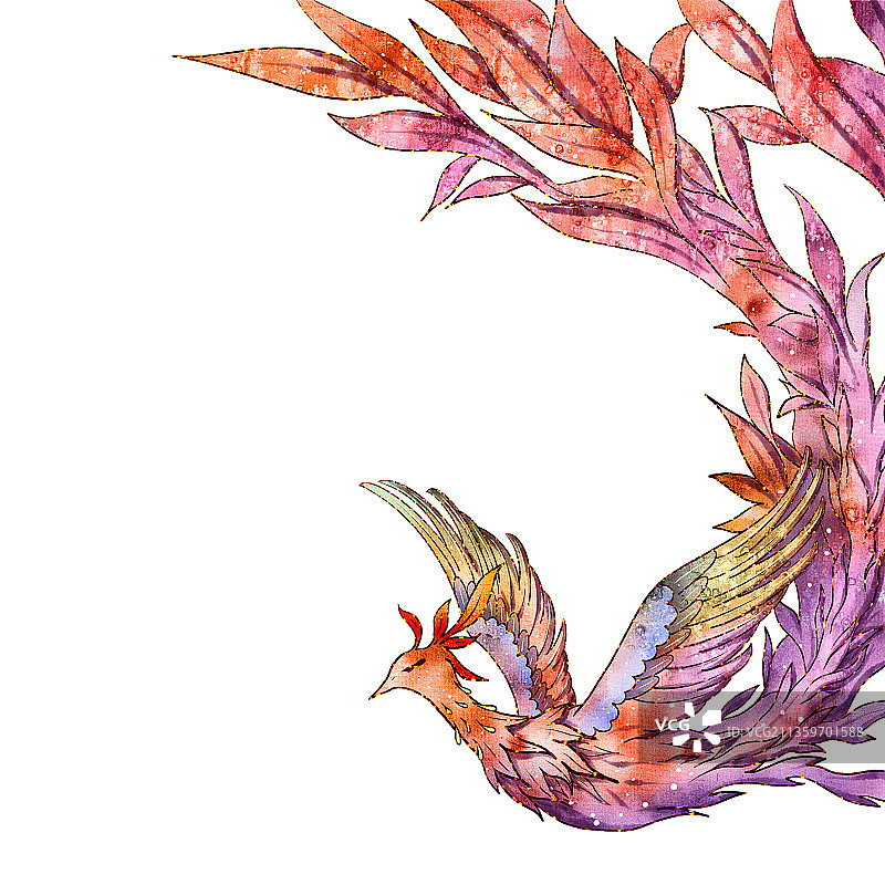 水彩凤凰插画图片素材