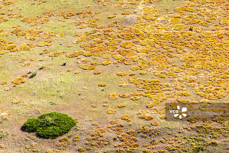 新疆伊犁喀拉峻草原图片素材