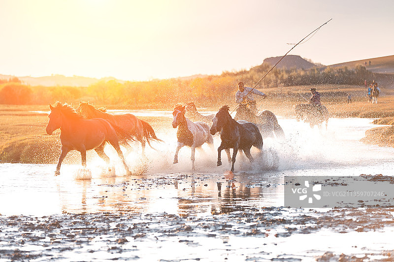 内蒙古赤峰市乌兰布统大草原秋色迷人图片素材