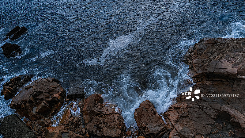 嵊泗·枸杞图片素材