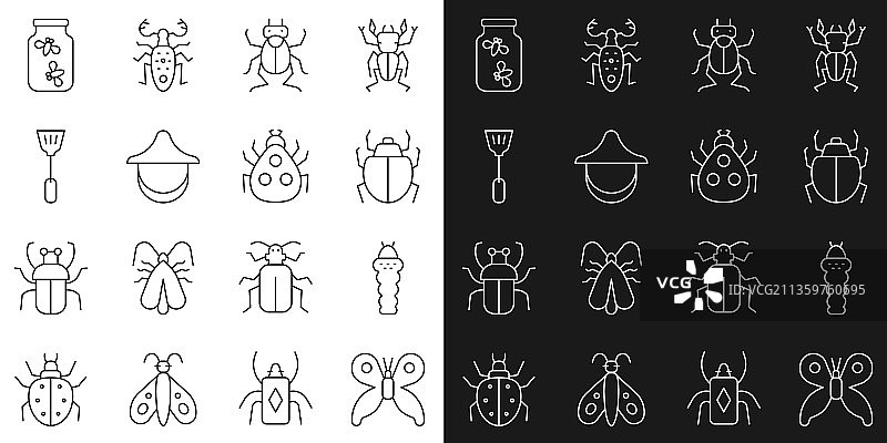 线条蝴蝶幼虫昆虫螨虫甲虫图片素材