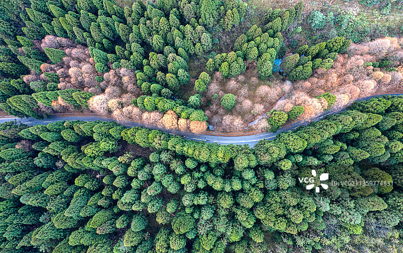 湖北咸丰：“中国天然氧吧”坪坝营风景如画图片素材