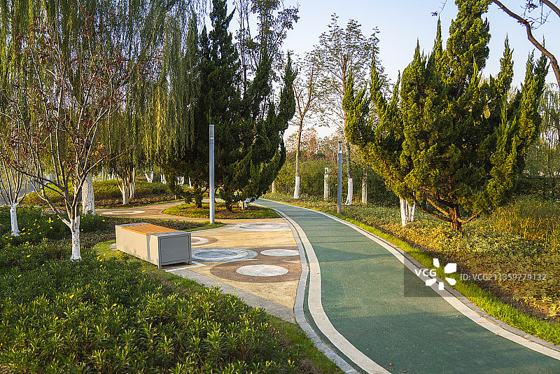 公园，运动，步道，锻炼，健康，跑步图片素材