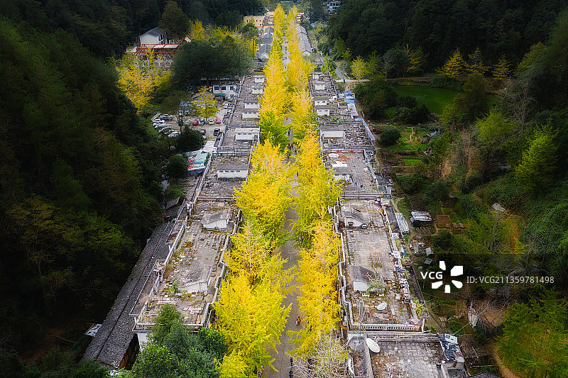 黄金大道 南雄帽子峰图片素材