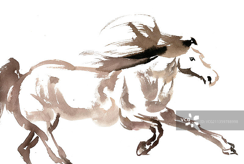 扬蹄的马图片素材