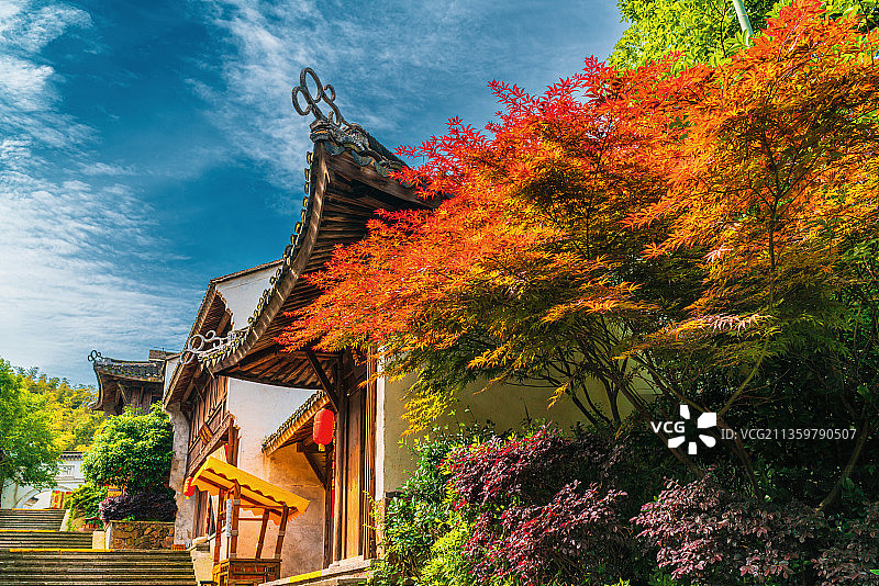 常州市溧阳市南山竹海鸡鸣村风光图片素材