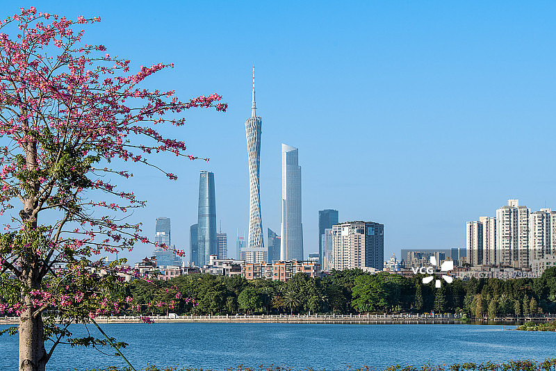海珠湖看小蛮腰图片素材