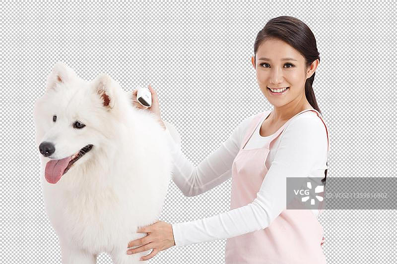 青年女人给宠物狗做身体保图片素材