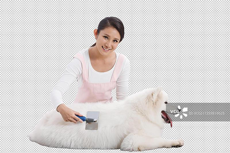 青年女人给宠物狗梳理毛发图片素材