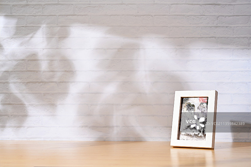 下午阳光下安静的白墙映射树叶影子白色相框图片素材
