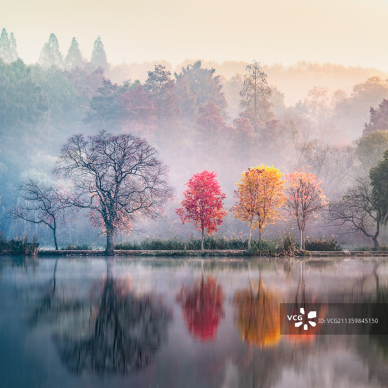 南京中山林中山植物园前湖秋色 朝霞林雾图片素材