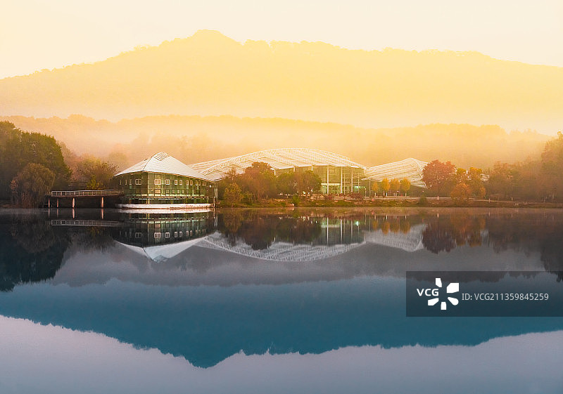 南京 前湖 中山植物园 秋天风景图片素材