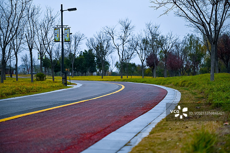 城市花园绿地间的绿荫小道图片素材