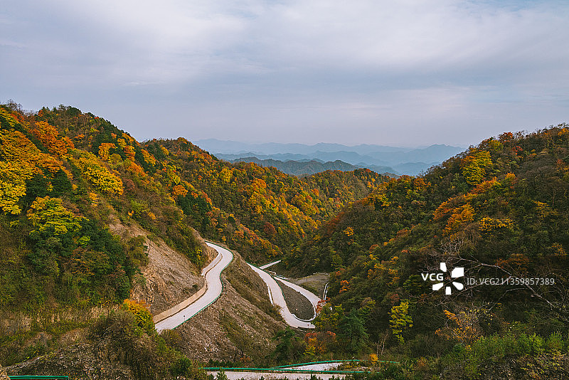 中国陕西汉中留坝太子岭红叶彩林风景图片素材