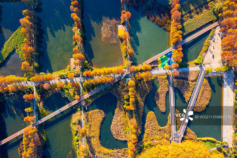 航拍武汉东湖华侨城秋季湿地图片素材