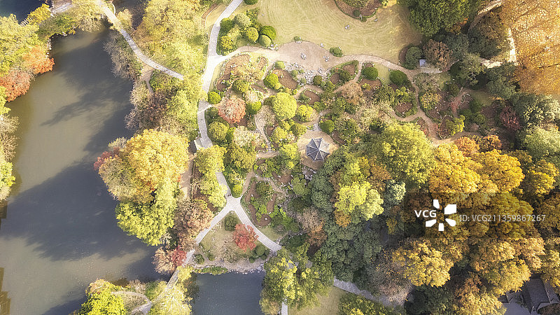 杭州西湖秋景花港观鱼南山路国宾馆浴鹄湾霁虹桥图片素材