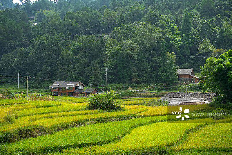 贵州省遵义市习水县梧桐山乡村风光图片素材