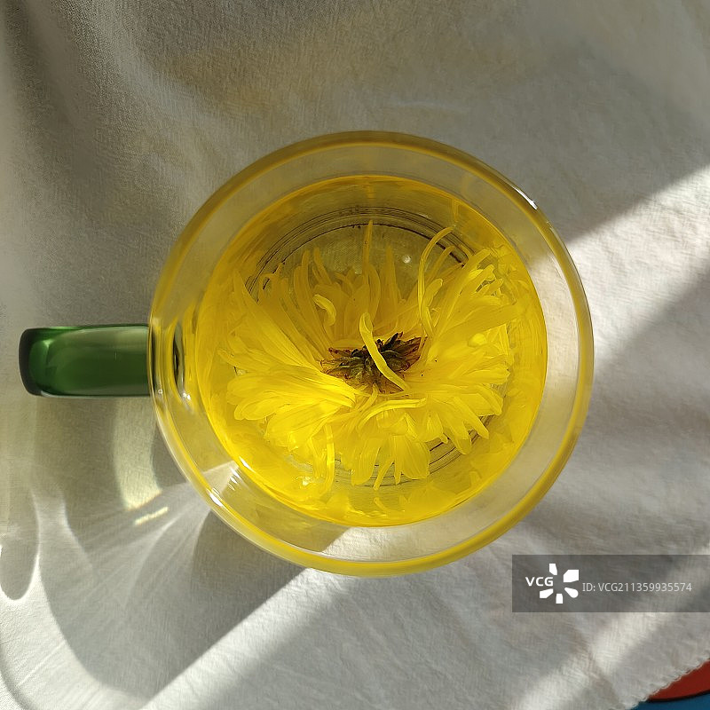 金丝皇菊图片素材