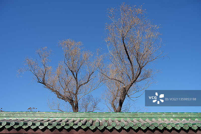 2021年12月1日，冬日里的北京天坛公园一片静谧。图片素材