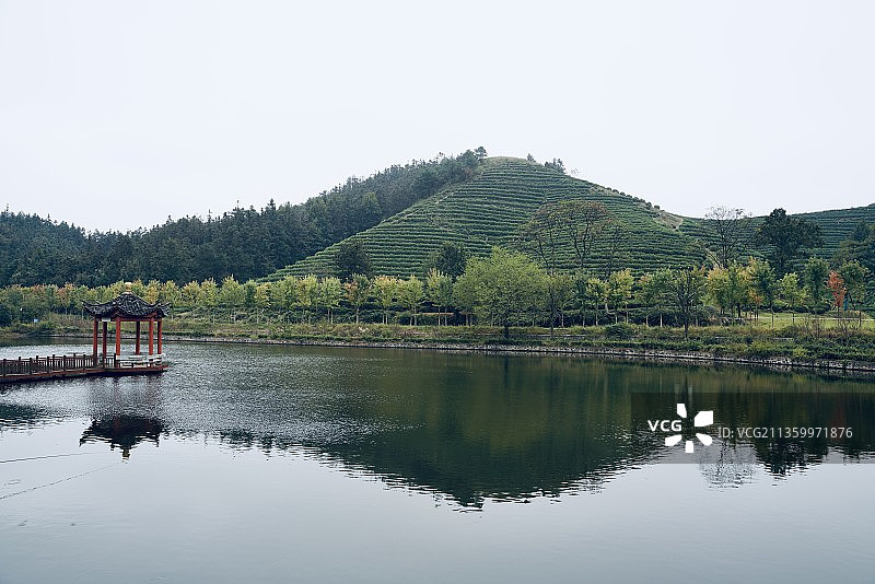 信阳光山县净居寺茶场图片素材