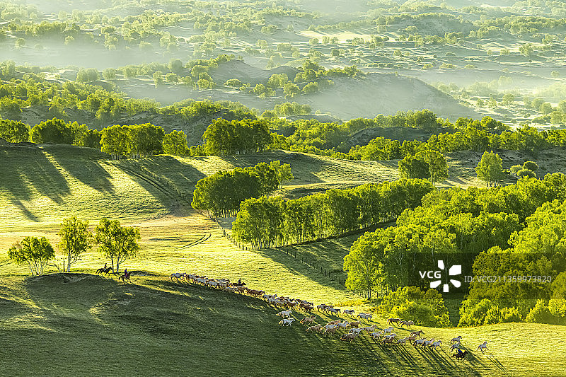 草原奔马图片素材