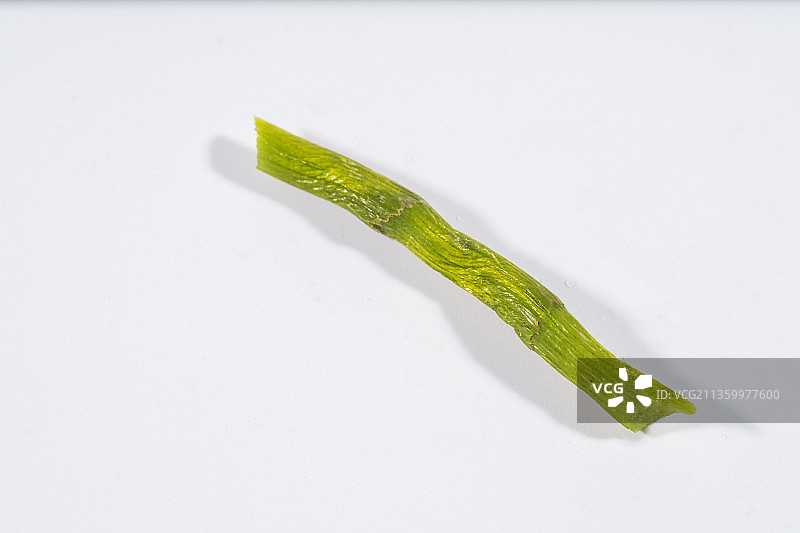 霍山石斛泡水后图片素材