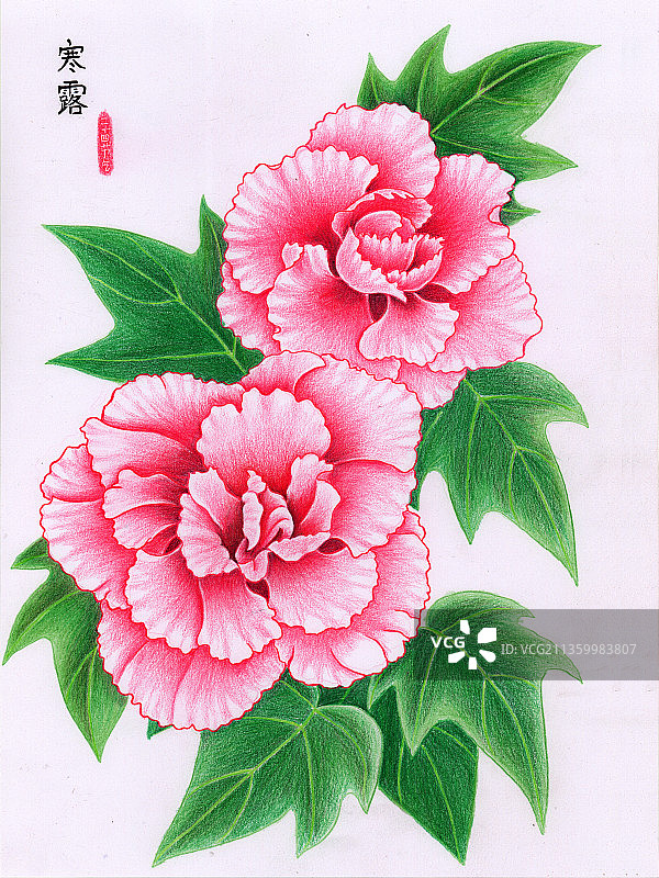 二十四节气-寒露图片素材