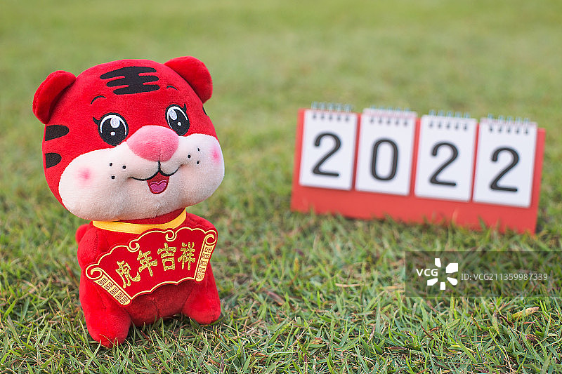 草地上的老虎公仔和2022年日历图片素材