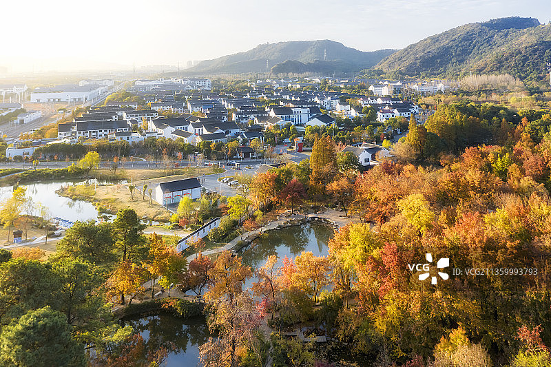 苏州新区天平山的枫叶红了图片素材