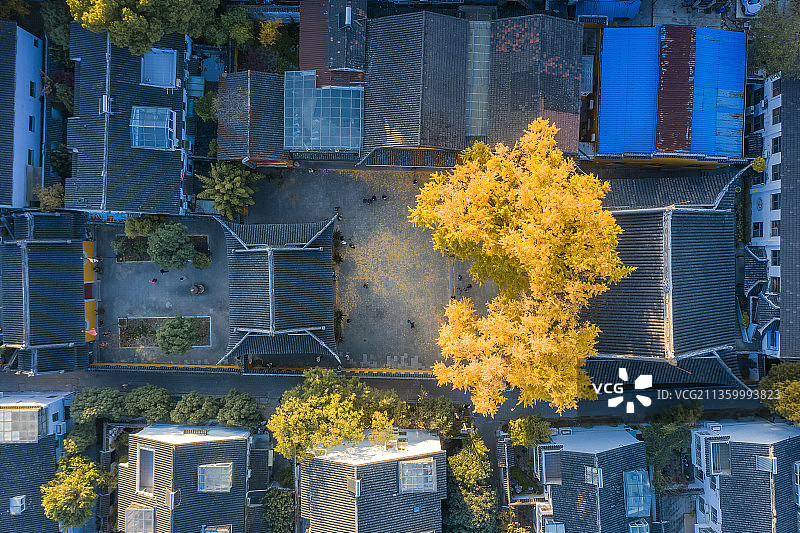 苏州姑苏区定慧寺与双塔的秋天图片素材