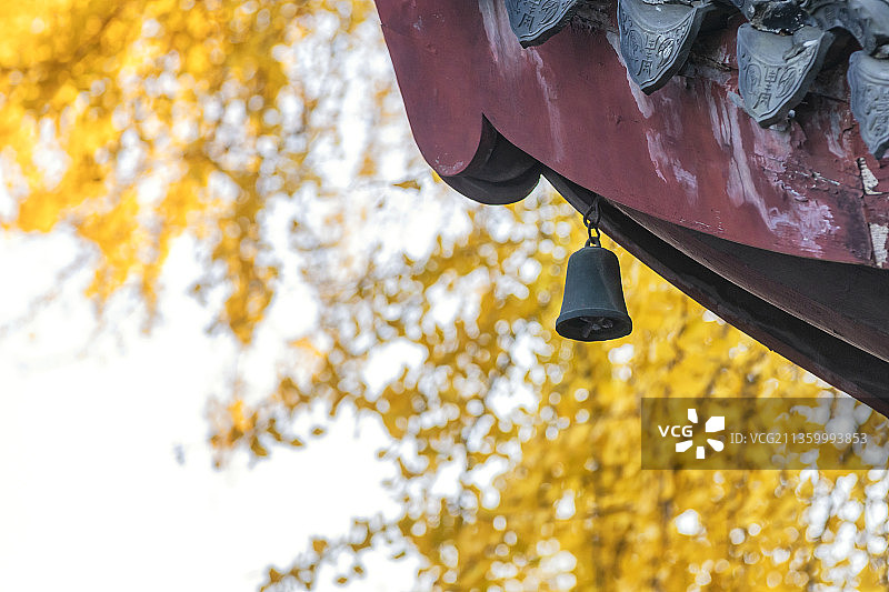 苏州姑苏区定慧寺与双塔的秋天图片素材