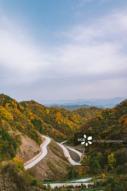 中国陕西汉中留坝太子岭红叶彩林风景图片素材