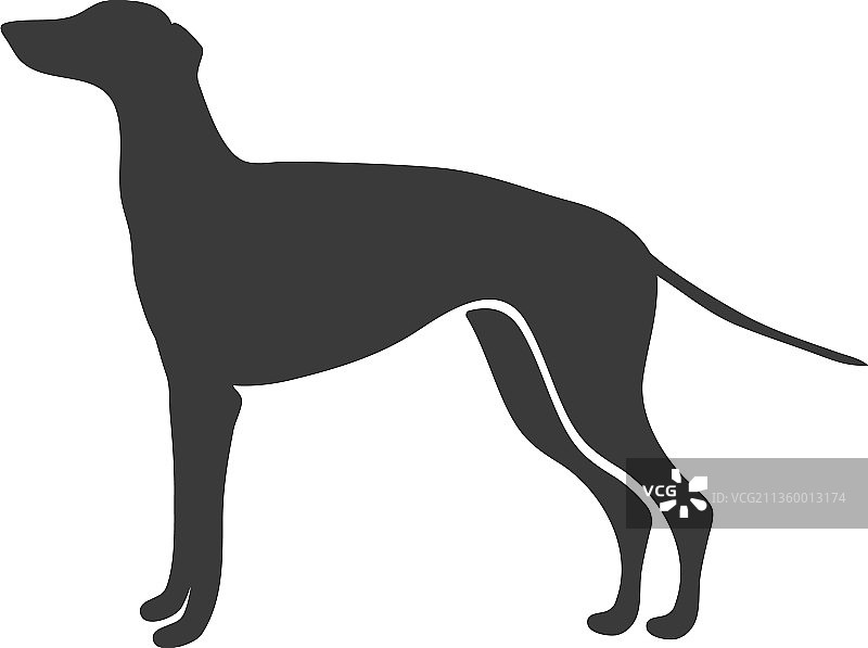 格力犬剪影图片素材