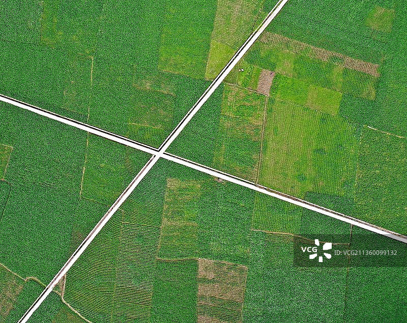 重庆酉阳：17万亩油菜长势良好图片素材