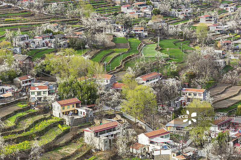 梨花山庄 ——阿坝州金川县图片素材
