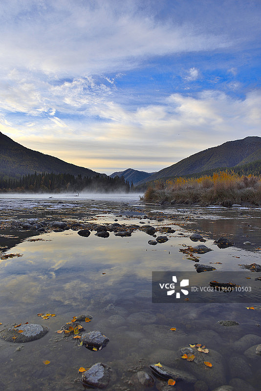 晚秋的花季春情图片素材