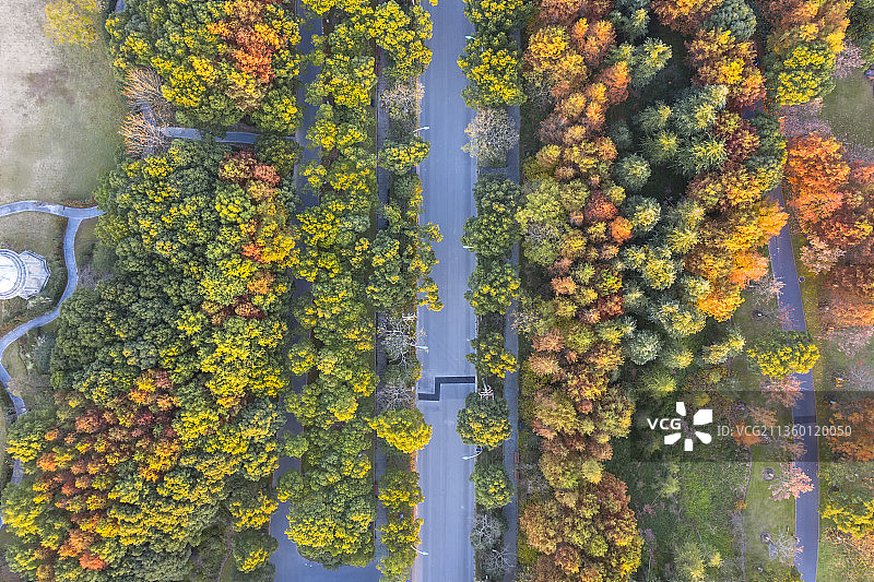 上海顾村公园图片素材