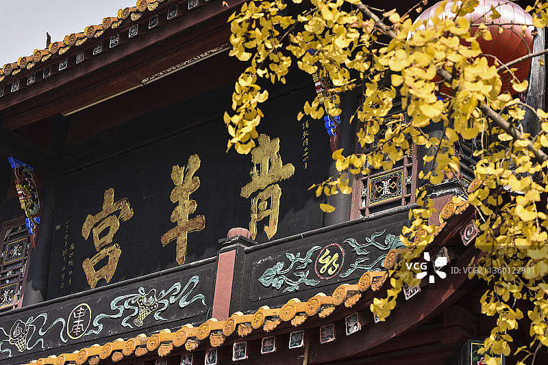 四川成都 金秋时节的青羊宫图片素材