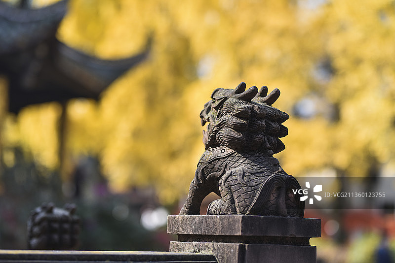 成都，青羊宫，麒麟和银杏图片素材