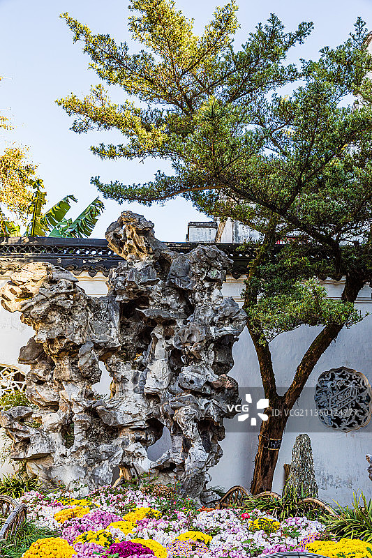 江苏苏州园林狮子林之秋图片素材