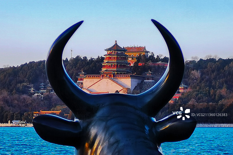 铜牛看凝视佛香阁图片素材